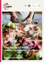 The future of food – building the foundations for change (2015)